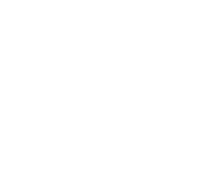 Homepage Logo Terry Riney Agency